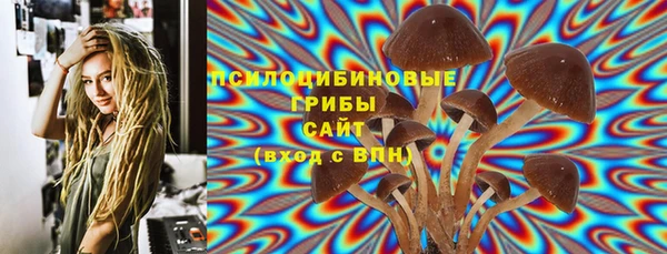 apvp Абаза