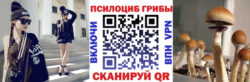 Галлюциногенные грибы Psilocybine cubensis Карасук