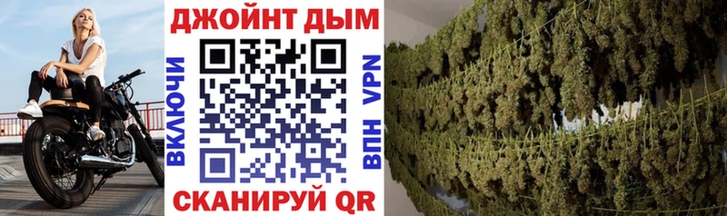 как найти закладки  kraken онион  Бошки марихуана THC 21%  Карасук 